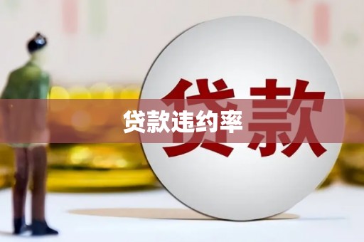 广饶贷款违约率