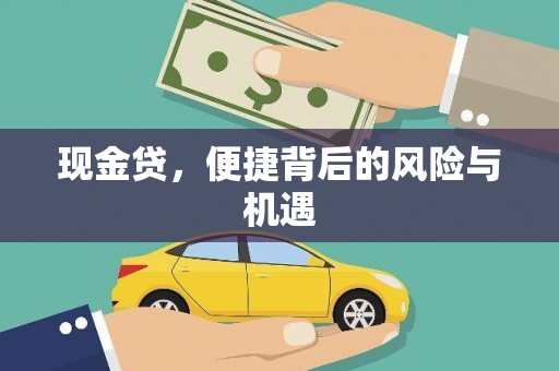 广饶现金贷，便捷背后的风险与机遇