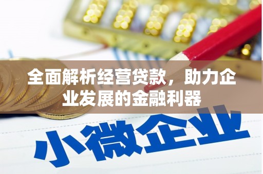 广饶全面解析经营贷款，助力企业发展的金融利器