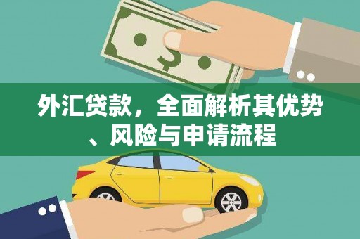 广饶外汇贷款，全面解析其优势、风险与申请流程