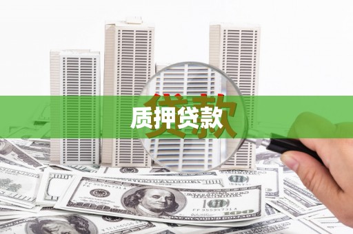 广饶质押贷款