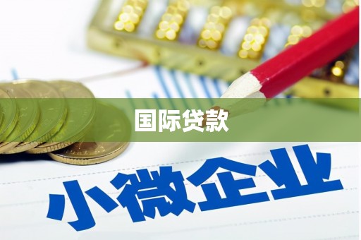 广饶国际贷款