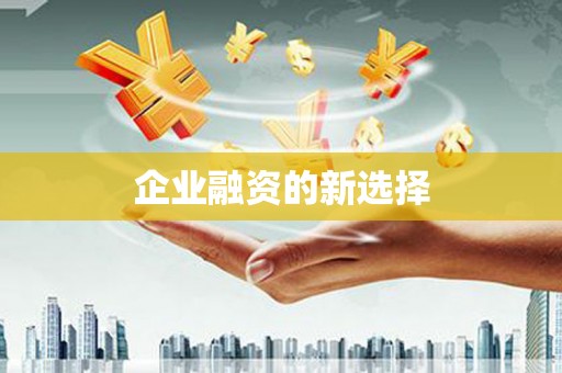 广饶企业融资的新选择