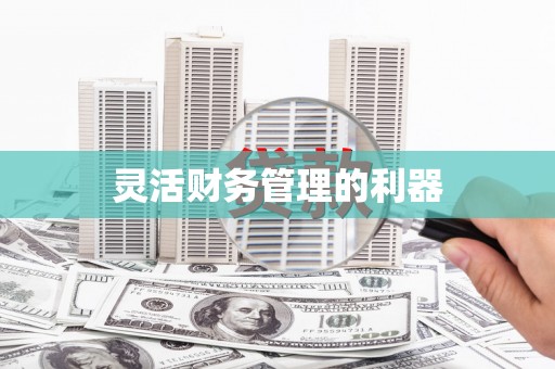 广饶灵活财务管理的利器