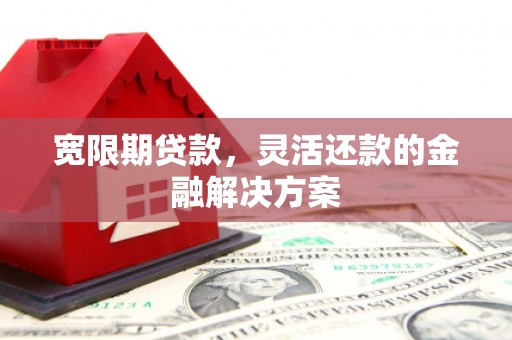 广饶宽限期贷款，灵活还款的金融解决方案