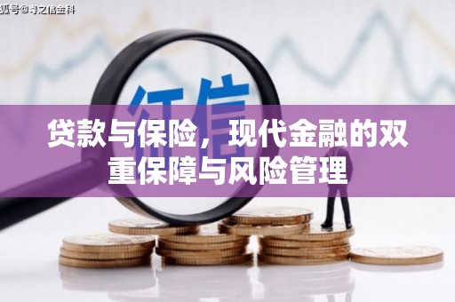 广饶贷款与保险，现代金融的双重保障与风险管理
