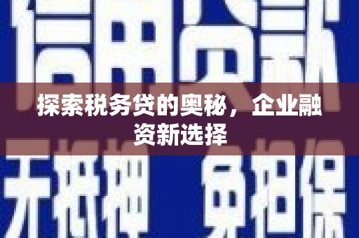 广饶探索税务贷的奥秘，企业融资新选择
