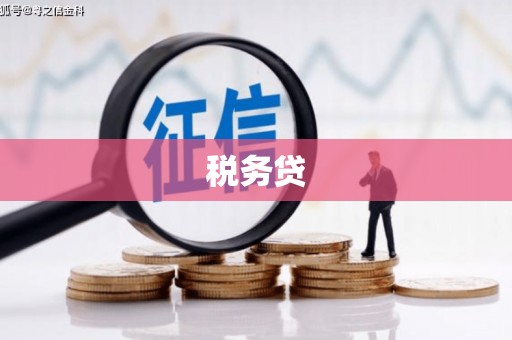 广饶税务贷