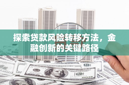 广饶探索贷款风险转移方法，金融创新的关键路径