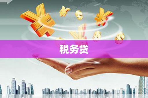 广饶税务贷