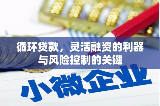 广饶循环贷款，灵活融资的利器与风险控制的关键