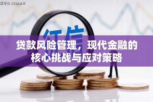广饶贷款风险管理，现代金融的核心挑战与应对策略