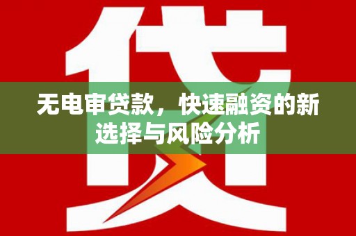 广饶无电审贷款，快速融资的新选择与风险分析