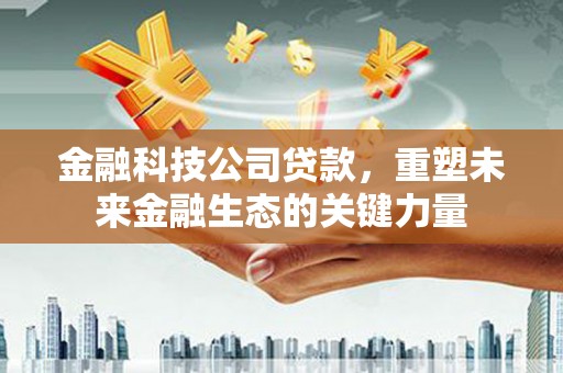 广饶金融科技公司贷款，重塑未来金融生态的关键力量