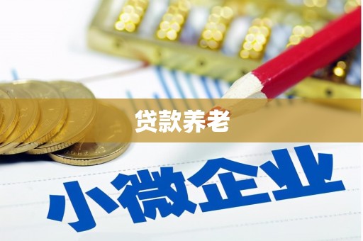 广饶贷款养老