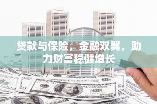 广饶贷款与保险，金融双翼，助力财富稳健增长