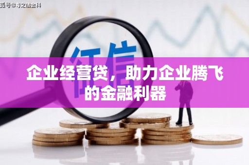 广饶企业经营贷，助力企业腾飞的金融利器