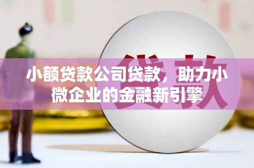 广饶小额贷款公司贷款，助力小微企业的金融新引擎