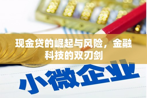 广饶现金贷的崛起与风险，金融科技的双刃剑