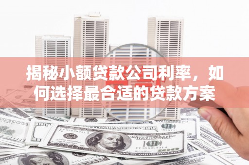 广饶揭秘小额贷款公司利率，如何选择最合适的贷款方案