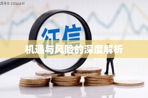 广饶机遇与风险的深度解析