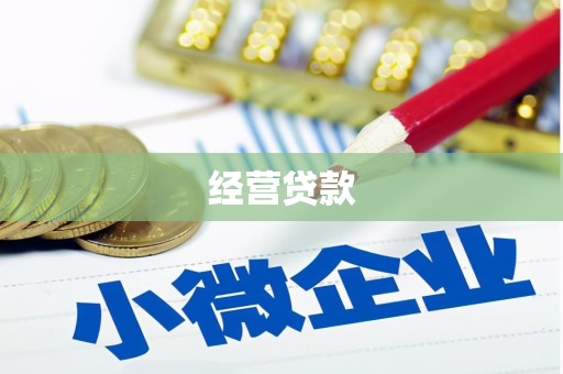 广饶经营贷款