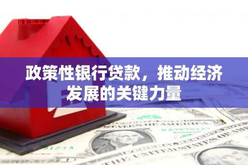 广饶政策性银行贷款，推动经济发展的关键力量