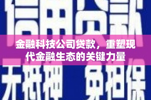 广饶金融科技公司贷款，重塑现代金融生态的关键力量