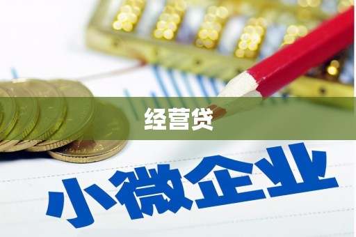 广饶经营贷