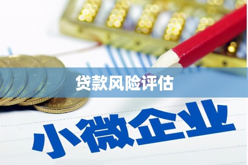 广饶贷款风险评估