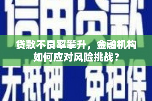广饶贷款不良率攀升，金融机构如何应对风险挑战？