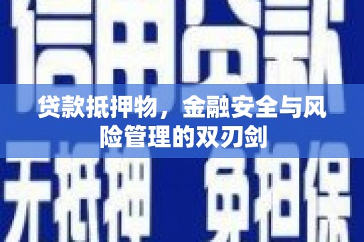 广饶贷款抵押物，金融安全与风险管理的双刃剑