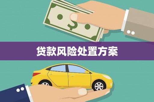 广饶贷款风险处置方案