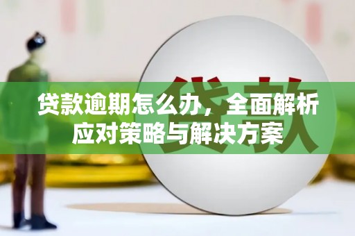 广饶贷款逾期怎么办，全面解析应对策略与解决方案