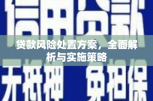 广饶贷款风险处置方案，全面解析与实施策略