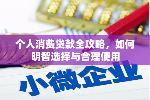 广饶个人消费贷款全攻略，如何明智选择与合理使用